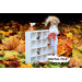 Miniature dollhouse drawer bookcase digital file 