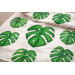 Monstera leaf cross stitch pattern embroidery scheme 